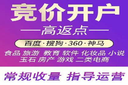 行业标杆：SEM推广代运营成功案例